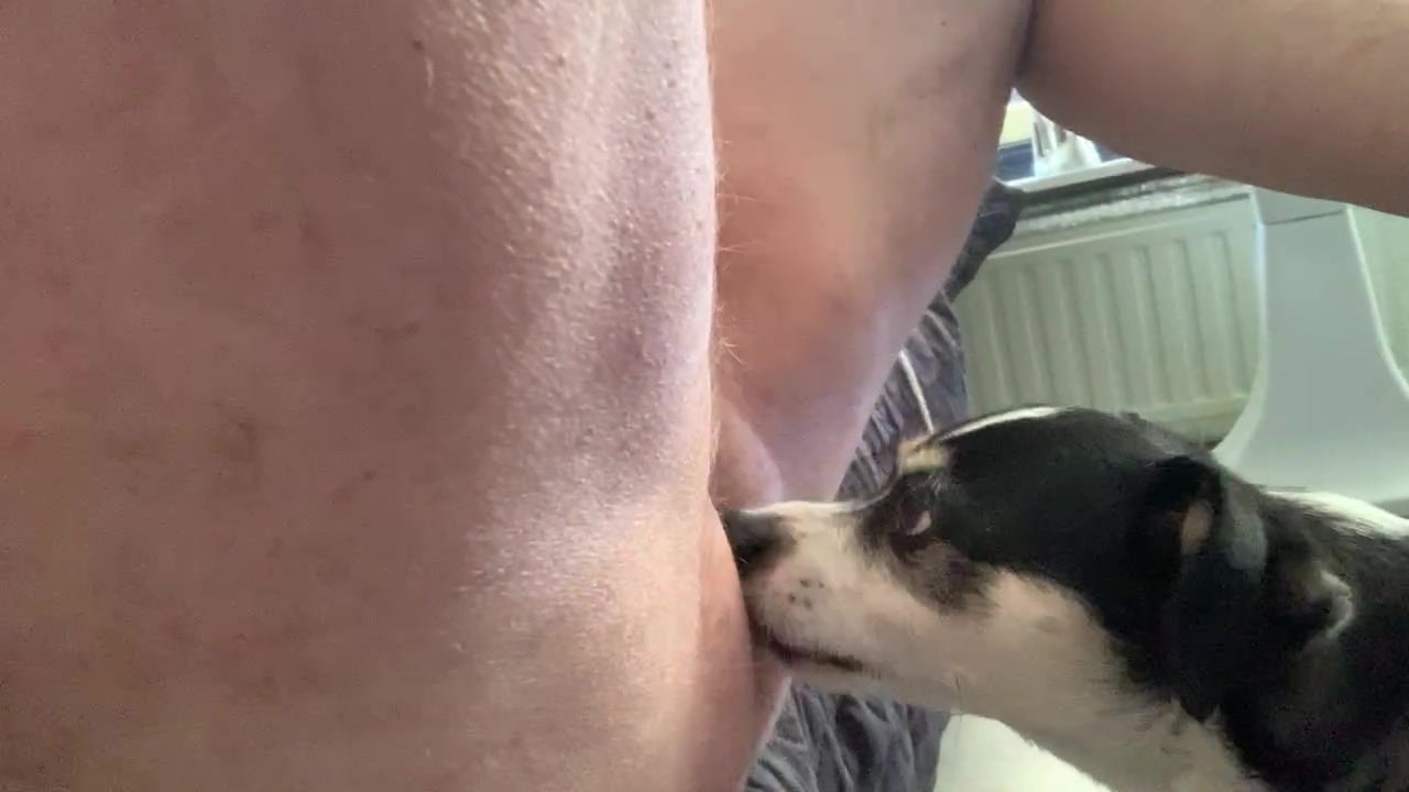 Guy shows his amazing dog oral fucking skills here