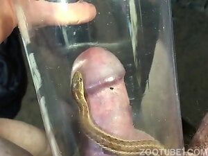 Dude is going to let a tiny snake fuck his cock