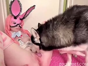 Pink pussied hottie gets licked by a dog with legs up
