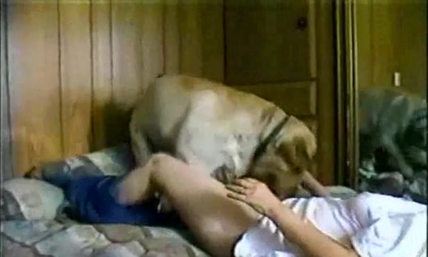 Girl Jerking Dogcock - Trailer trash girl jerks off and fuck her dog