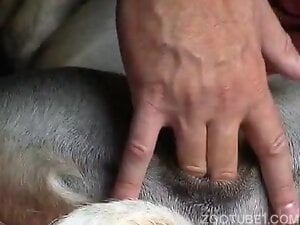 Dude fingering a dog's pussy and enjoying DEEP gape
