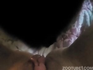 Awesome pussy pleasure session with a dog that licks