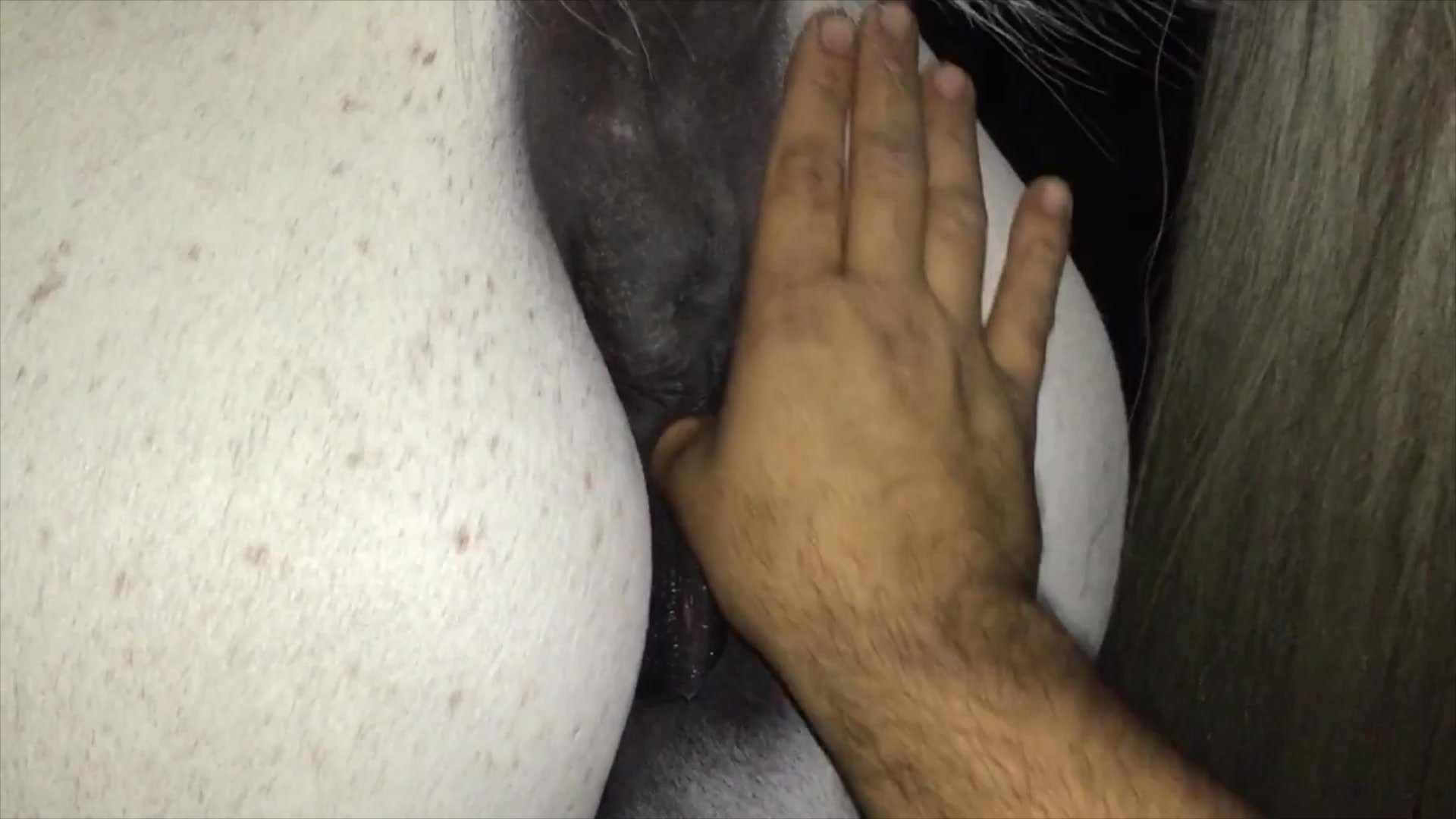 White mare's hot pussy is getting fingered happily