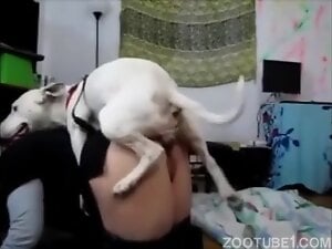 White dog fucking that tight opening in a hot fashion