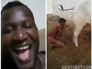 Dude watches another dude blow a horse and laughs