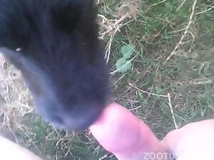 Dude strokes his uncut cock before feeding it to dog