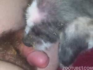 Hairy dude showing his cock and letting the beast suck