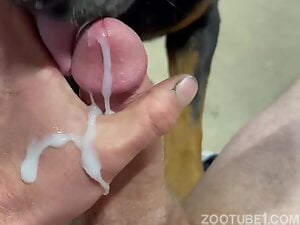 Dude cums hard after this dog's impassioned blowjob