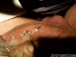 Snails produce goo as they fuck the guy's cock