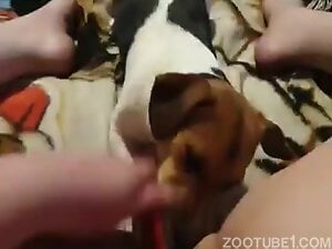 Animal loves dildoing and pussy licking as well