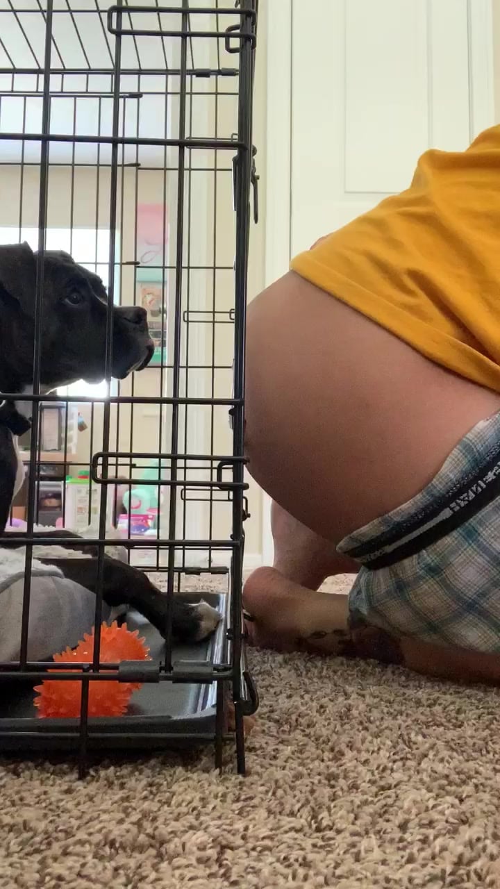 This animal is going to eat ass from the cage