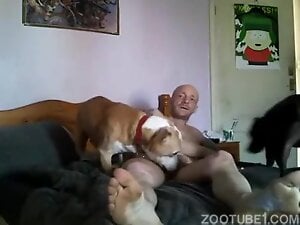 Dude with a bald head gets fucked anally by a mutt
