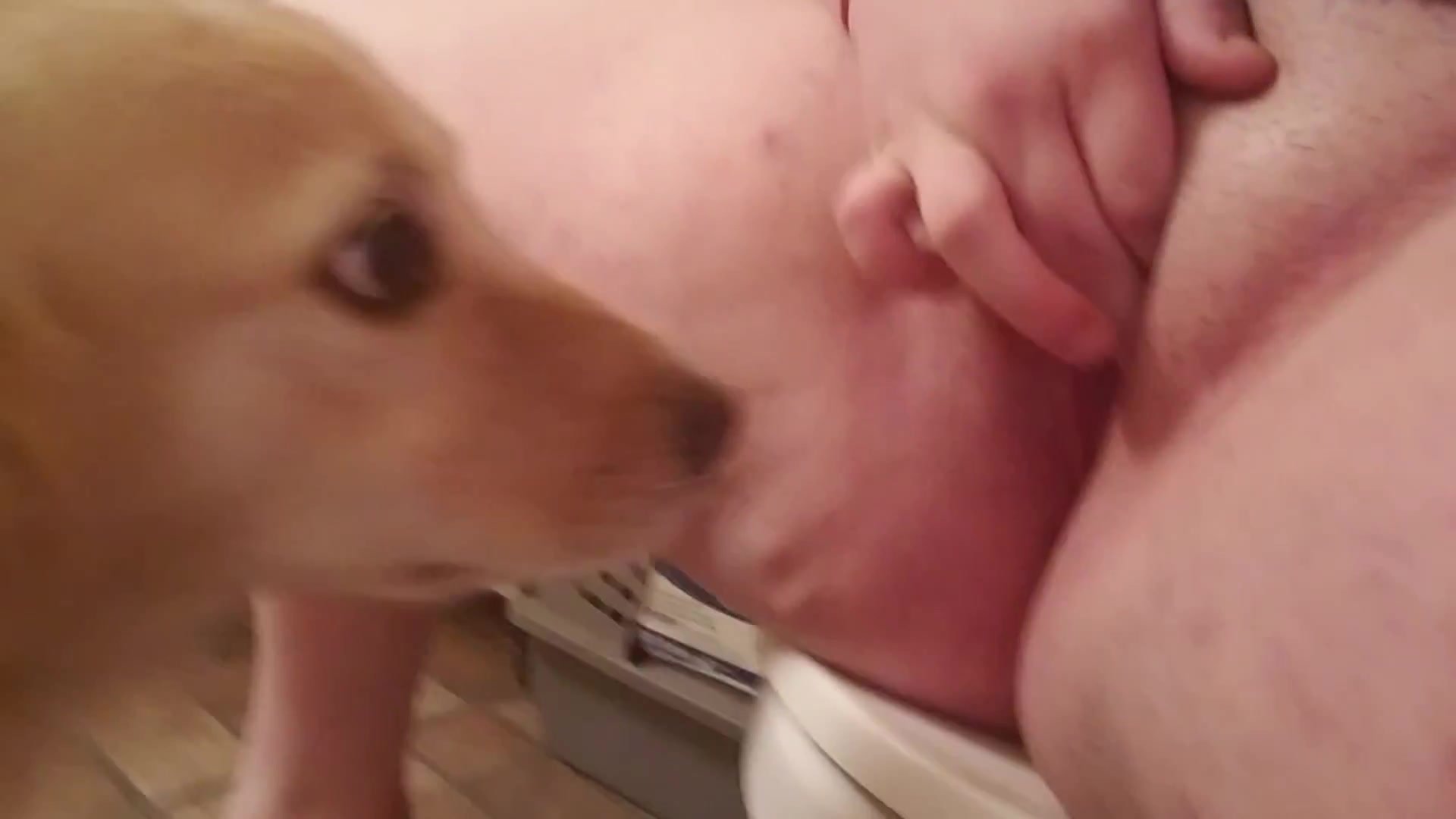 порно мужик трахает свою собаку фото 96
