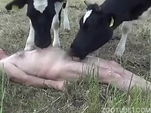There's nothing hotter than cow blowjobs and threesomes