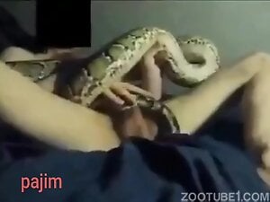 Snake sex session with a cowgirl fucking and gape