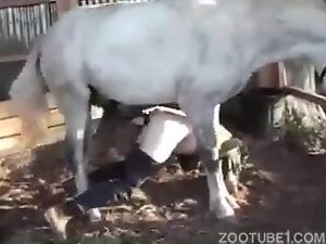 Huge white stallion impales that tight asshole for real