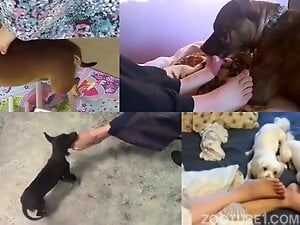 Foot fetish dog porn movie with the tastiest toes ever
