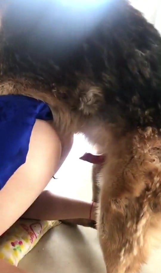 Dog Guides Its Penis In The Tight Zoophilic Hole dog-guides-its-penis-in-the-tight-zoophilic-hole