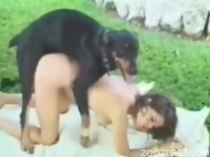 horny latina gets fucked by dog