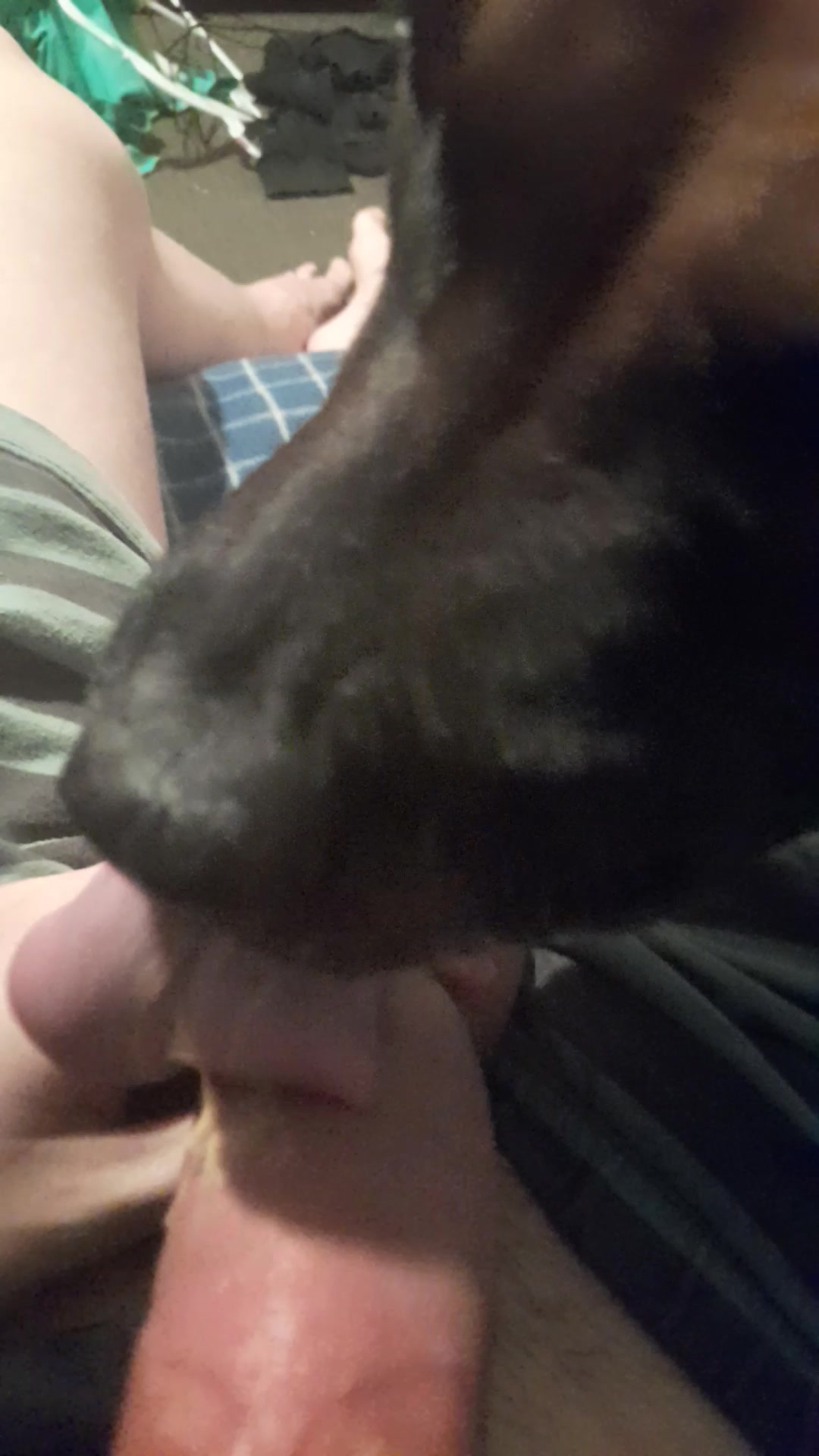 Dog licks peanut butter off girls pussy