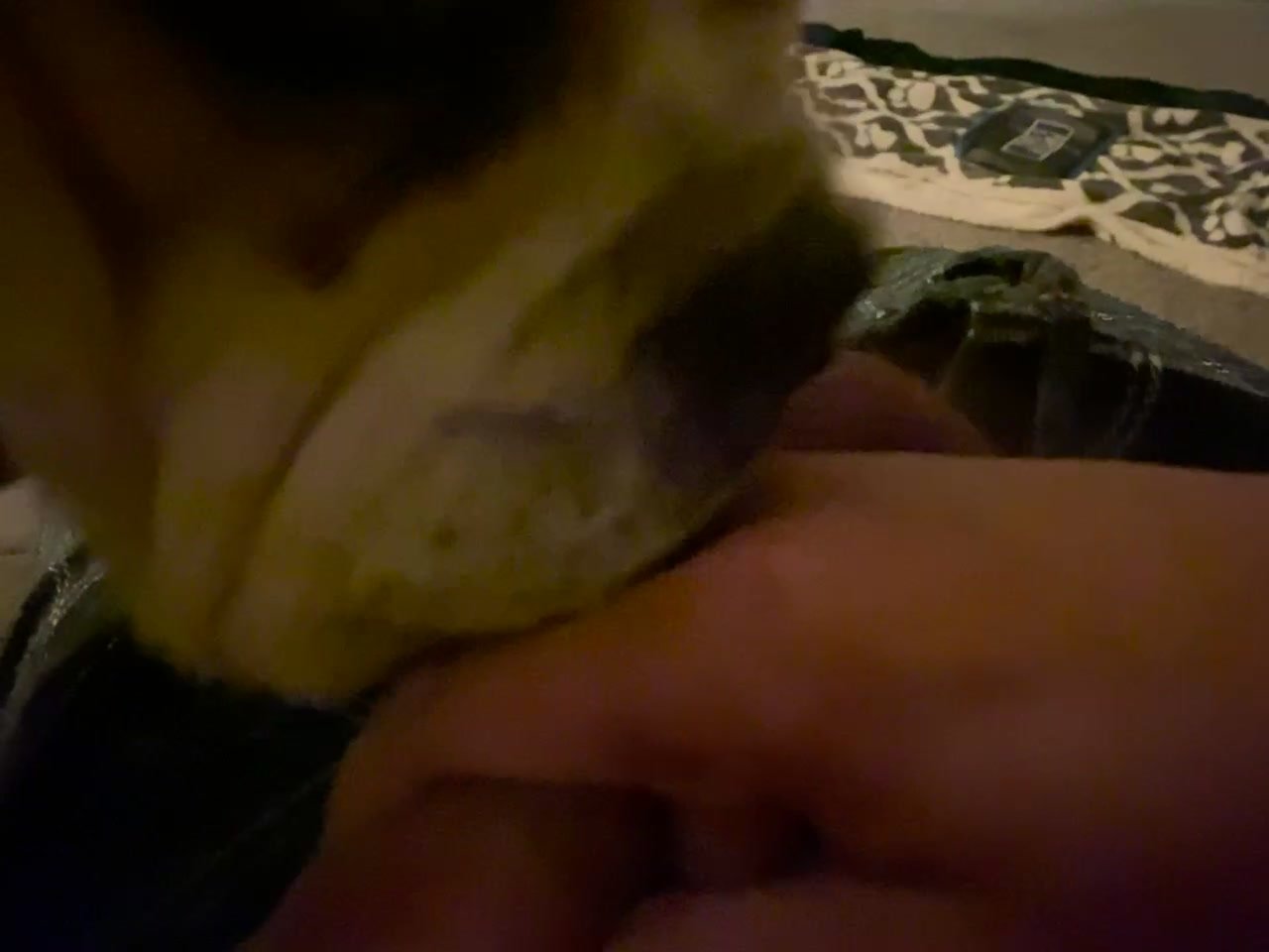Tantalizing blowjob from my dog-makes me cum! / Zoo Tube 1