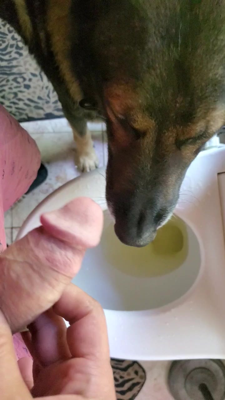 Drinking Pee From The Tap