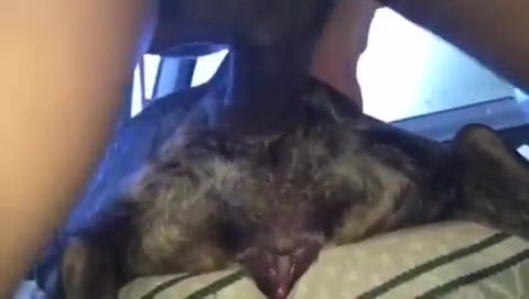 Man Fucks Dog In Ass - Guy butt fucks his dog in the backseat anal