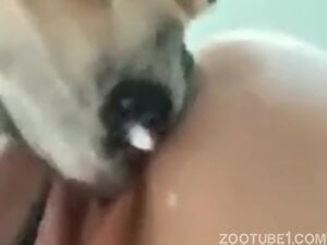 licking pussy 2