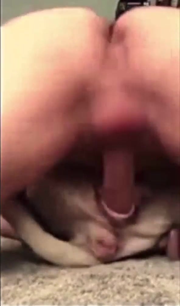 Hunk pounds puppy roughly
