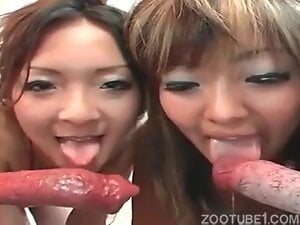 Two Asian Girls Love Big Hot Doggy Cocks!