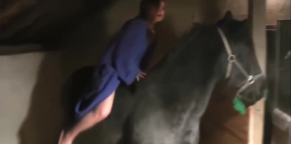 Horse Pees Human Porn - bitch pisses all over a horse / Zoo Tube 1