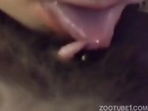 lick penis of her cat
