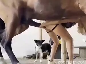 Horse pounding the shit outta that leggy ass bitch