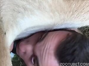 Dude is eager to suck a white animal's real hard cock