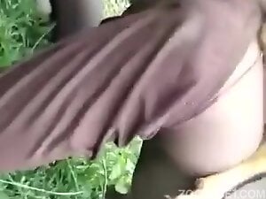 Huge animal fucks a guy's tight opening outdoors
