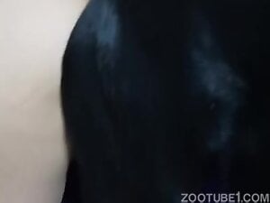 Hairy pussy lady is going to fuck dog with no shame