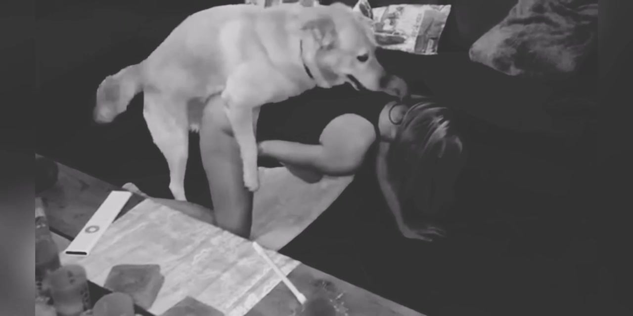 Blonde loves how filthy dog sex on all fours makes her