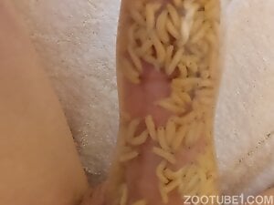 Maggot covered cocks are best cocks you can hope for