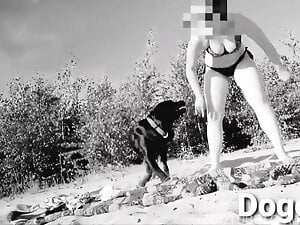 Bikini wearing babe fucks a dog on the beach in B&W