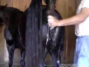 Horse with a sexy pussy wants to fuck a very kinky guy