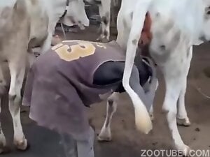 Delicious pussy of a sexy farm animal showcased here