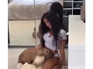 Sexy chick is going to get her pussy licked by a pet