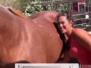 Sexy horse is about to receive the hottest handjob