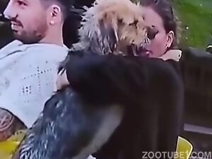 Dude tries to ignore a zoophilic make out but fails
