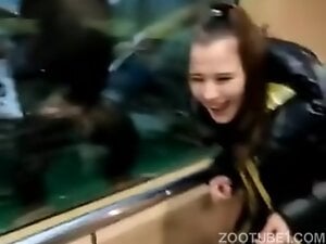 Masturbating monkey grossing out a ponytailed brunette