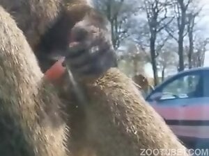 Masturbating animal blows a colossal load on the lens