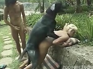 Brazilian farm dog sex