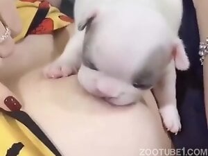 Sucking this huge titties ...