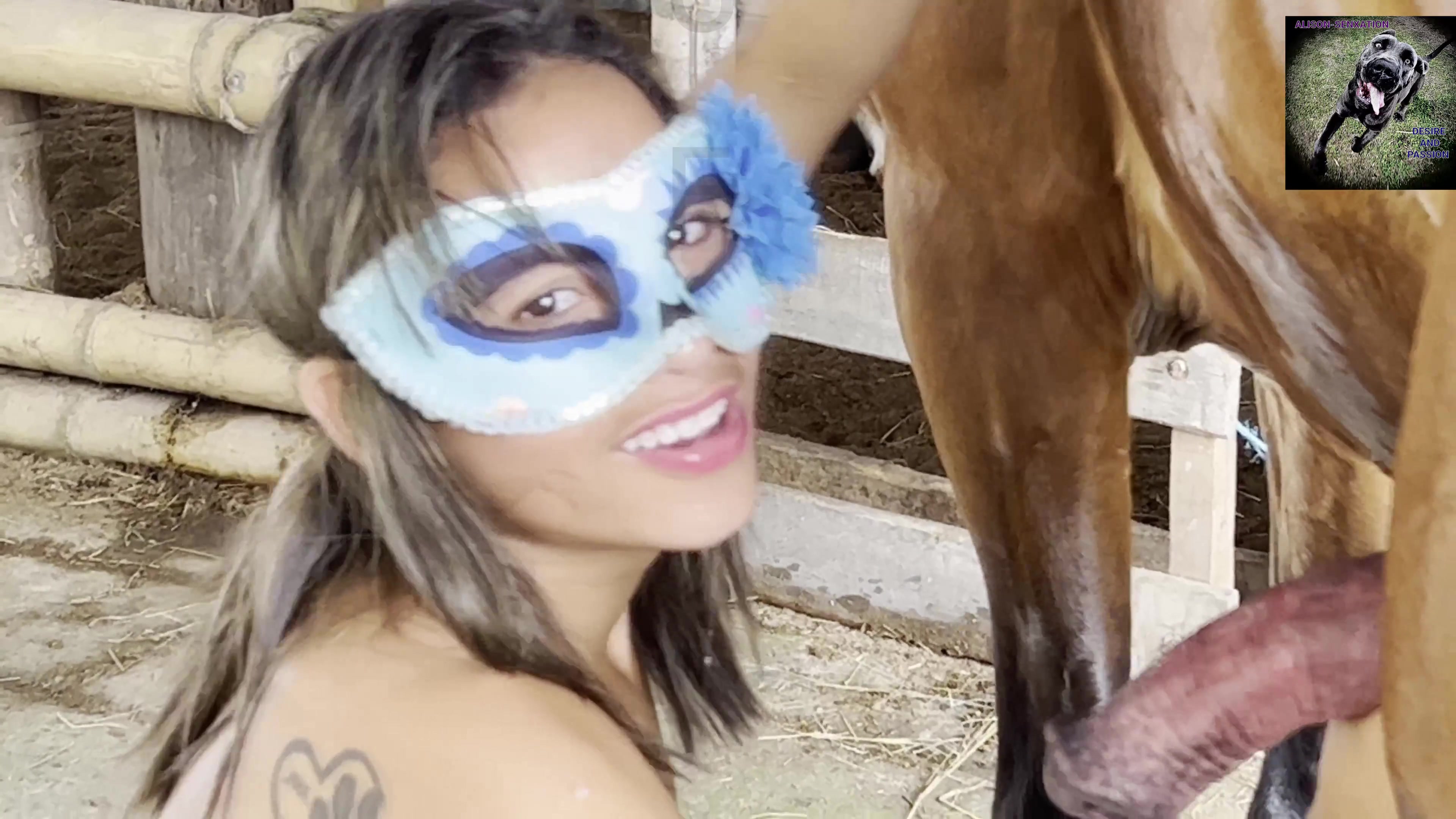 Alisonprod horse