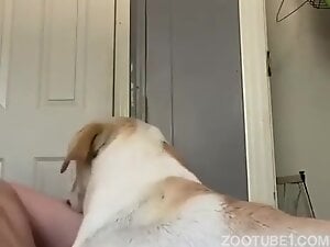 Denise Pregnant - Video #56876869